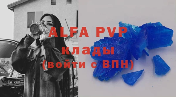 apvp Алексин