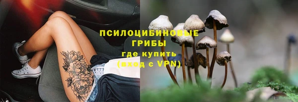 apvp Алексин