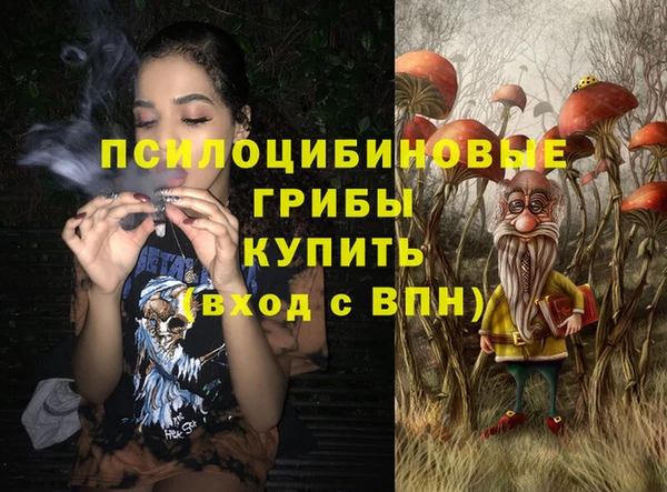 apvp Алексин