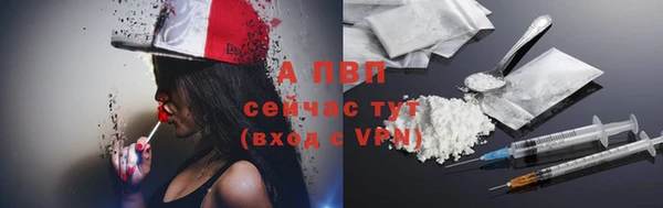 apvp Алексин
