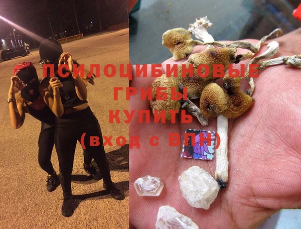 молекула духа Алзамай