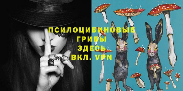 apvp Алексин