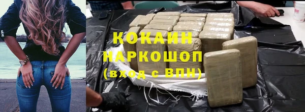 apvp Алексин