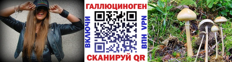 Галлюциногенные грибы Psilocybe  Красноуральск 